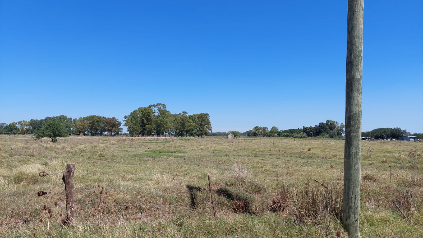 Excelente campo mixto 114 hectareas en Coronel Vidal a metros de Ruta 2