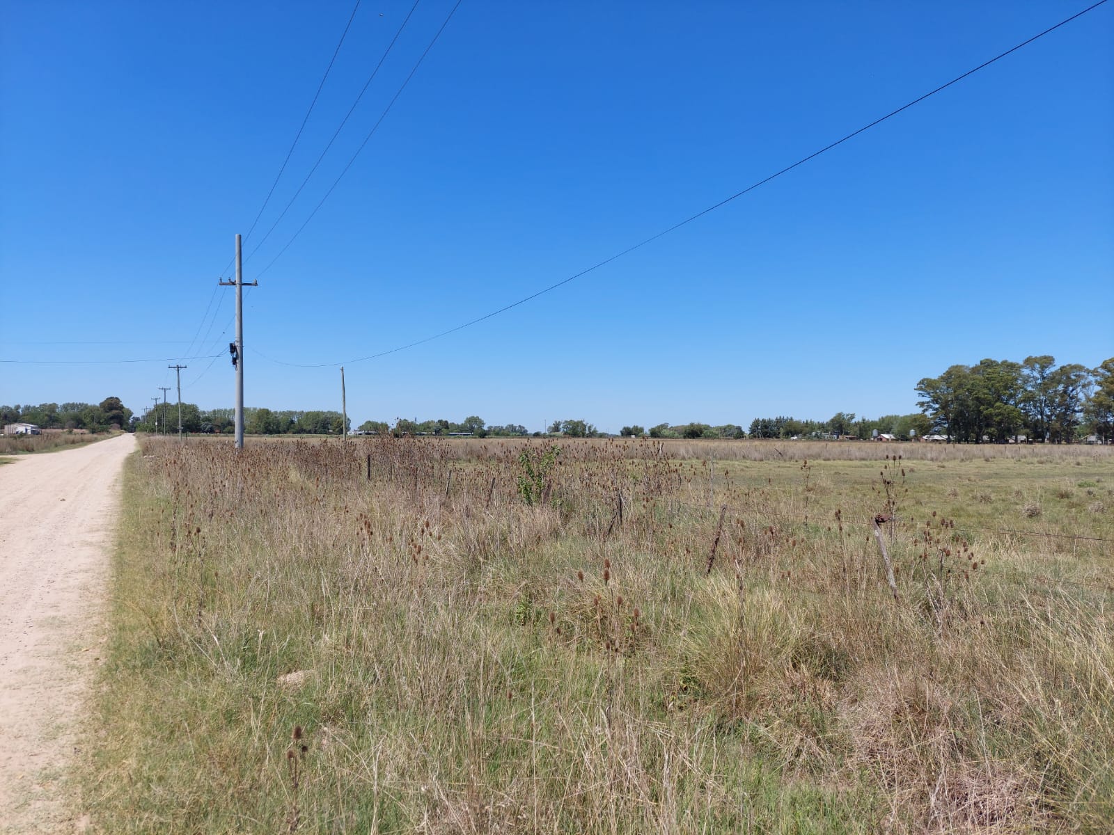 Excelente campo mixto 114 hectareas en Coronel Vidal a metros de Ruta 2