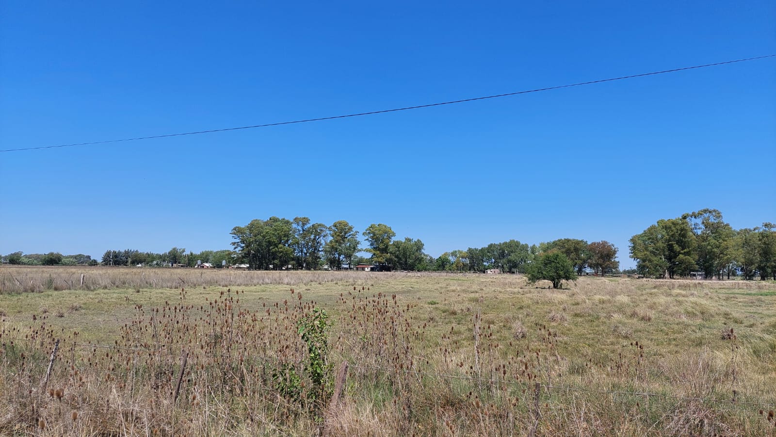 Excelente campo mixto 114 hectareas en Coronel Vidal a metros de Ruta 2