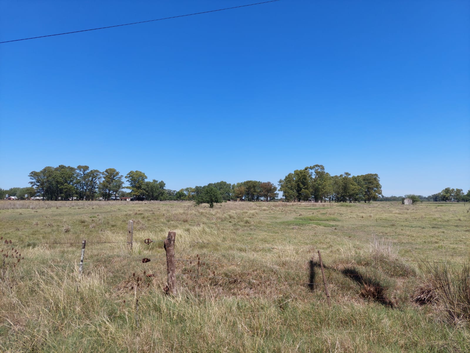 Excelente campo mixto 114 hectareas en Coronel Vidal a metros de Ruta 2